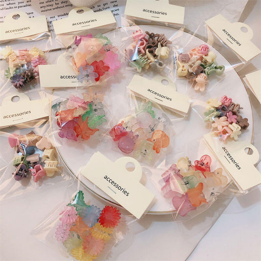 A100-Resin Hair Claw Clip 13 Designs (Color Matching Game)
