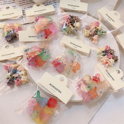 A100-Resin Hair Claw Clip 13 Designs (Color Matching Game)